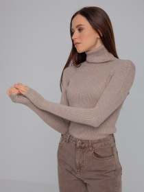 Водолазка Famo модель GO-8253_19 Фото