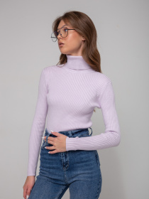 Водолазка Famo модель GO-8253_20 Фото