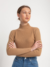 Водолазка Famo модель GO-1401_17 Фото