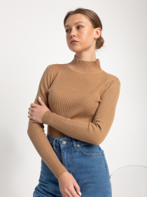 Водолазка Famo модель GO-1401_17 Фото