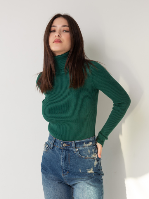 Водолазка Famo модель GO-8253_16 Фото