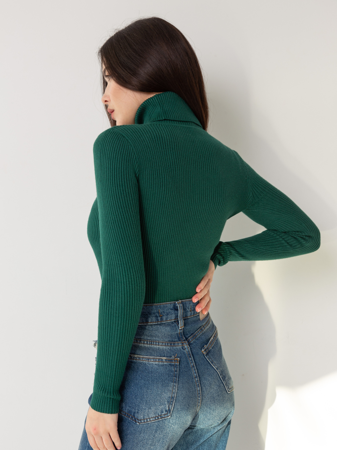 Водолазка Famo модель GO-8253_16 Фото