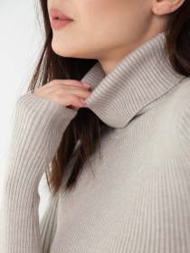 Водолазка Famo модель GO-8253_14 Фото