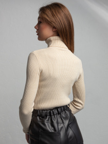 Водолазка Famo модель GO-8253_13 Фото