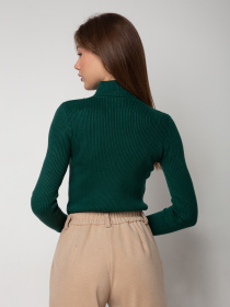 Водолазка Famo модель GO-1401_13 Фото