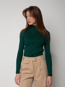 Водолазка Famo модель GO-1401_13 Фото