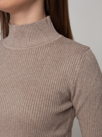 Водолазка Famo модель GO-1401_16 Фото