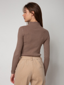 Водолазка Famo модель GO-1401_18 Фото