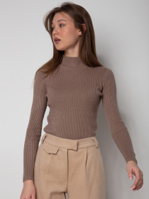 Водолазка Famo модель GO-1401_18 Фото