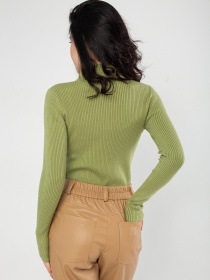 Водолазка Famo модель GO-1401_15 Фото