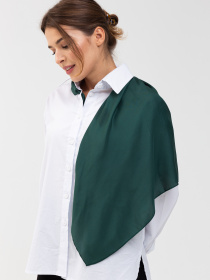 Хустка Famo модель APL-101_09 Фото