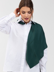 Хустка Famo модель APL-101_09 Фото