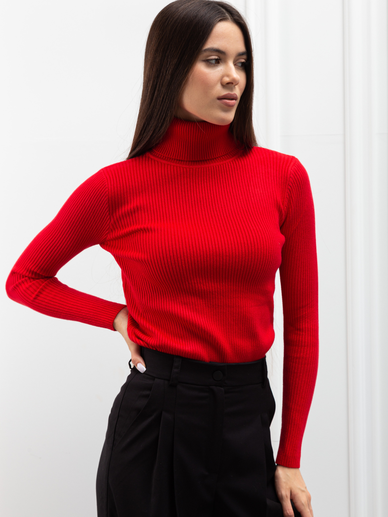 Водолазка Famo модель GO-8253_10 Фото