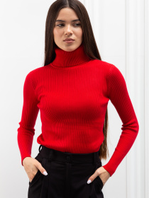 Водолазка Famo модель GO-8253_10 Фото