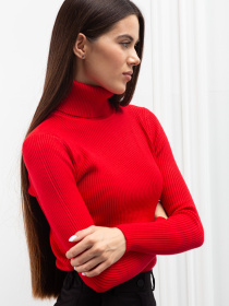 Водолазка Famo модель GO-8253_10 Фото