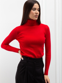 Водолазка Famo модель GO-8253_10 Фото