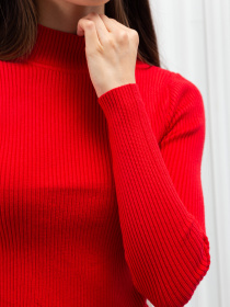 Водолазка Famo модель GO-8253_10 Фото