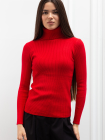 Водолазка Famo модель GO-8253_10 Фото