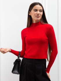 Водолазка Famo модель GO-12011_12 Фото