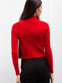 Водолазка Famo модель GO-12011_12 Фото