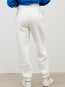 Джогери Famo модель BR-322_01 Фото