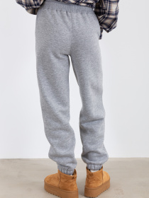 Джогери Famo модель BR-900_02 Фото