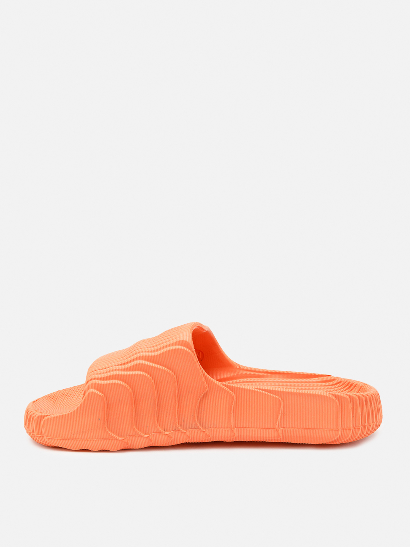 Шлепанцы Stilli модель ЦБ-00263855 Фото