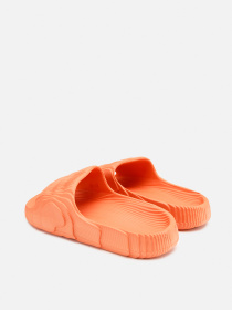 Шлепанцы Stilli модель ЦБ-00263855 Фото