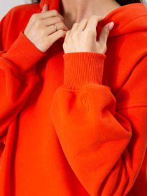 Худи Famo модель HD-1011_02 Фото