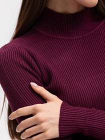 Водолазка Famo модель GO-1401_09 Фото