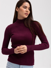 Водолазка Famo модель GO-1401_09 Фото