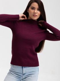 Водолазка Famo модель GO-1401_09 Фото