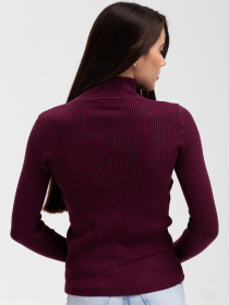 Водолазка Famo модель GO-1401_09 Фото