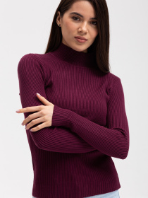 Водолазка Famo модель GO-1401_09 Фото