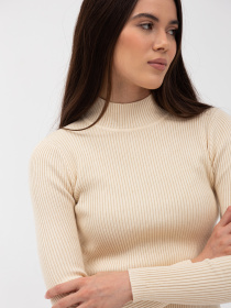 Водолазка Famo модель GO-12011_11 Фото