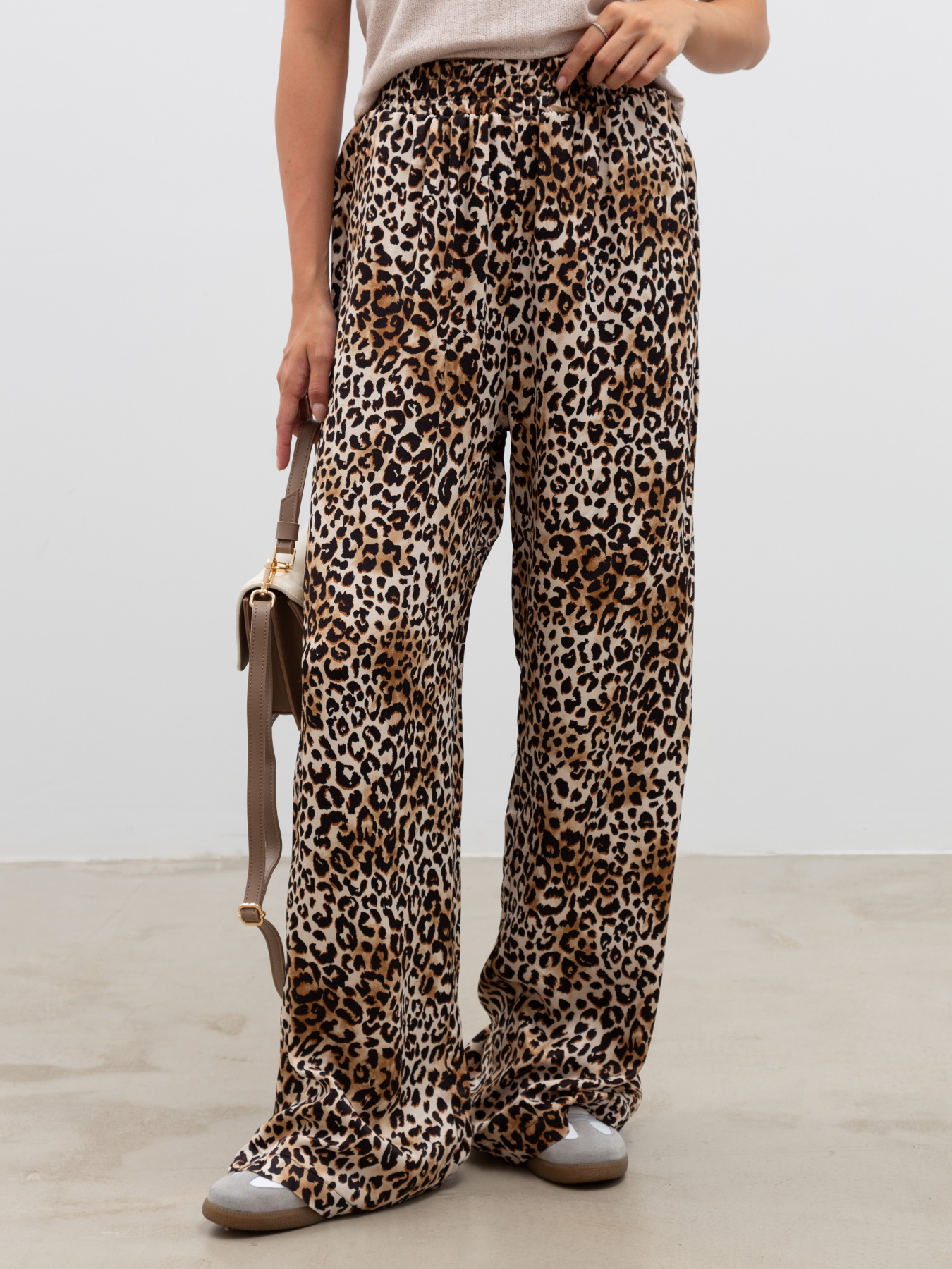 Штани Famo модель BR-241021_01 Фото