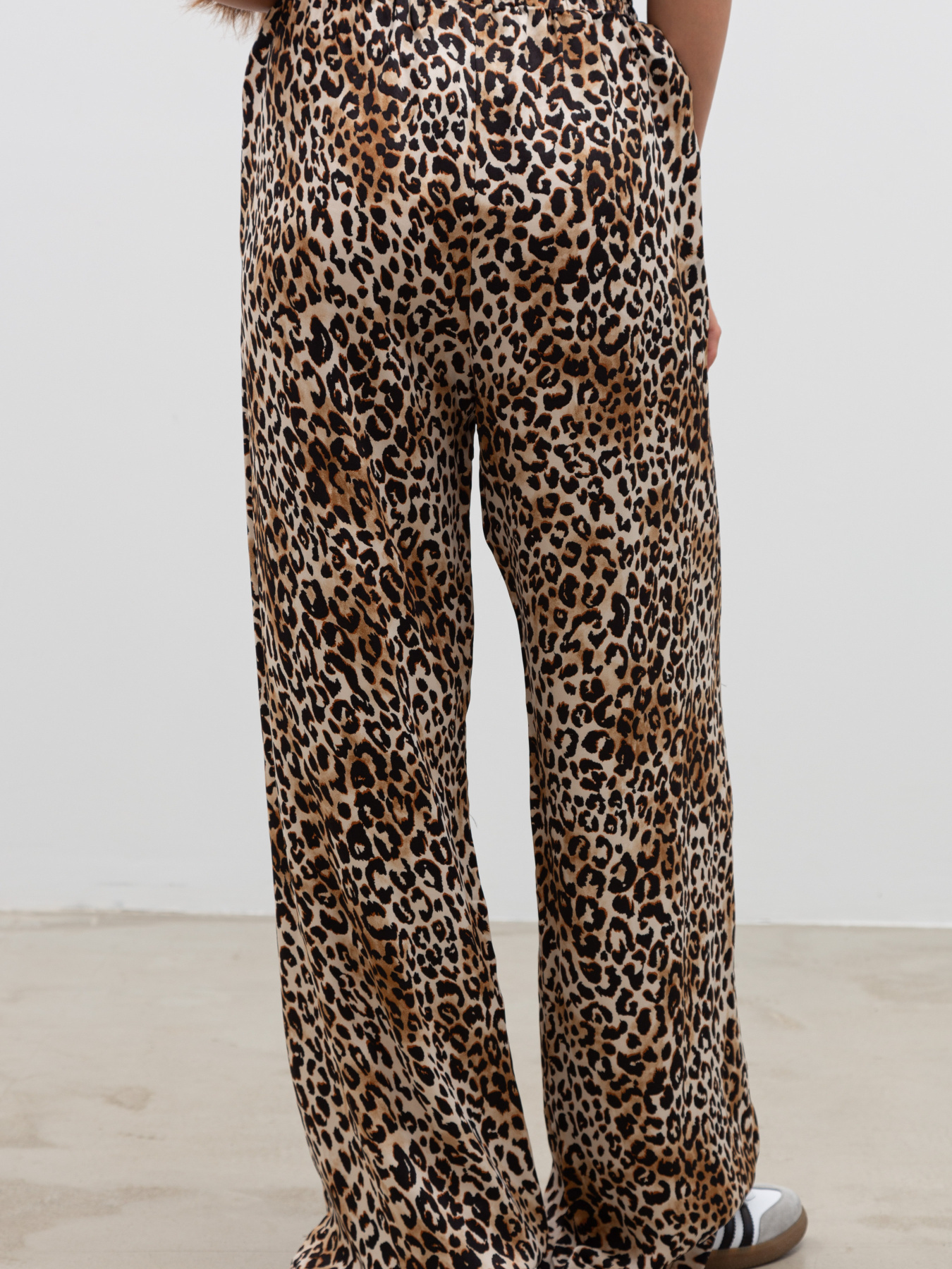 Штани Famo модель BR-241021_01 Фото