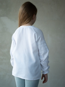 Вышитая рубашка Едельвіка модель 889-18-09 Фото