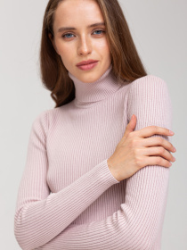 Водолазка Famo модель GO-8253_12 Водолазка Famo модель GO-8253_12 Фото