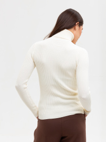 Водолазка Famo модель GO-8253_11 Фото