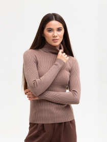 Водолазка Famo модель GO-8253_22 Фото