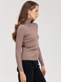 Водолазка Famo модель GO-8253_23 Фото