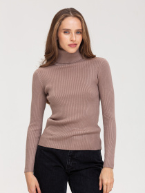 Водолазка Famo модель GO-8253_23 Фото