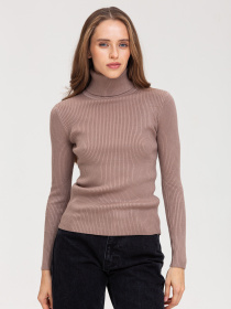 Водолазка Famo модель GO-8253_23 Фото