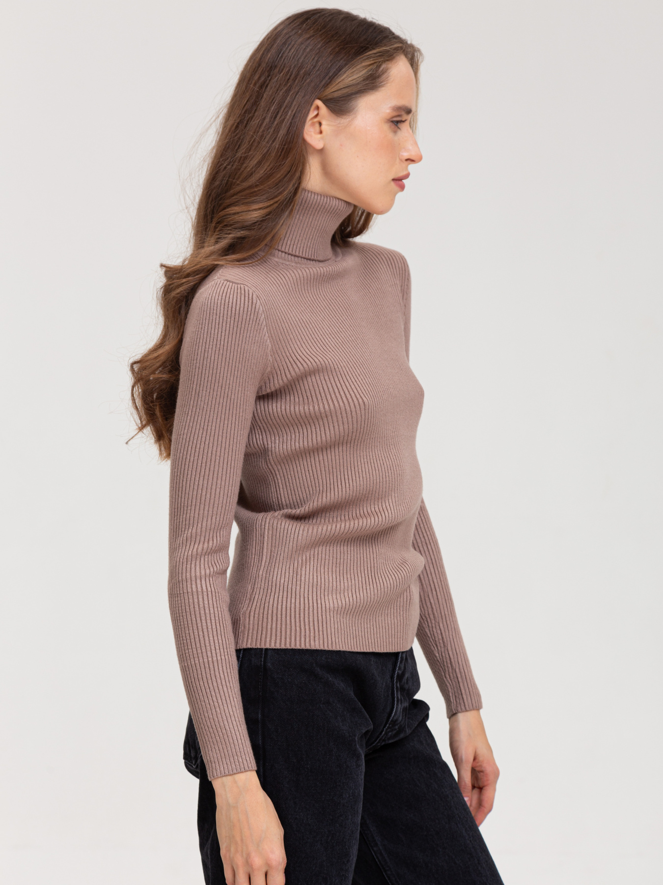 Водолазка Famo модель GO-8253_23 Водолазка Famo модель GO-8253_23 Фото