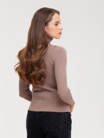 Водолазка Famo модель GO-8253_23 Водолазка Famo модель GO-8253_23 Фото