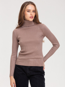 Водолазка Famo модель GO-8253_23 Водолазка Famo модель GO-8253_23 Фото