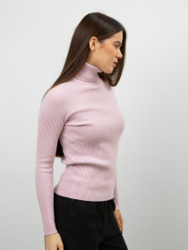 Водолазка Famo модель GO-8253_18 Фото