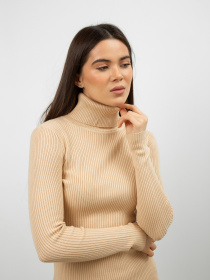 Водолазка Famo модель GO-8253_25 Фото