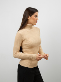 Водолазка Famo модель GO-8253_25 Фото